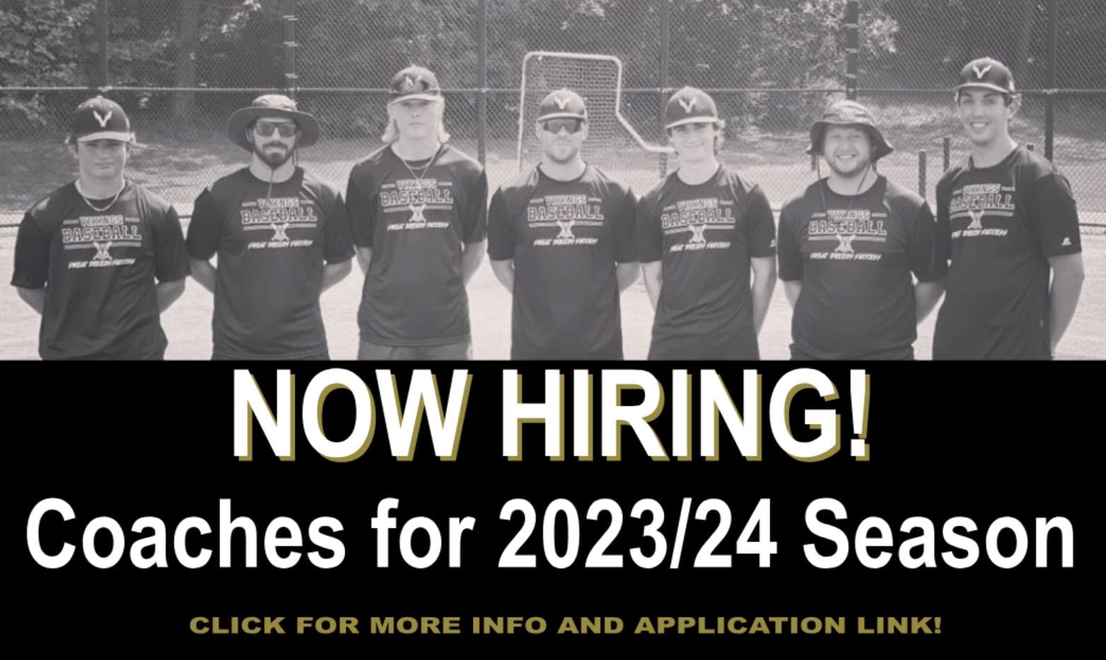 VikesCoachingPost_4Hire